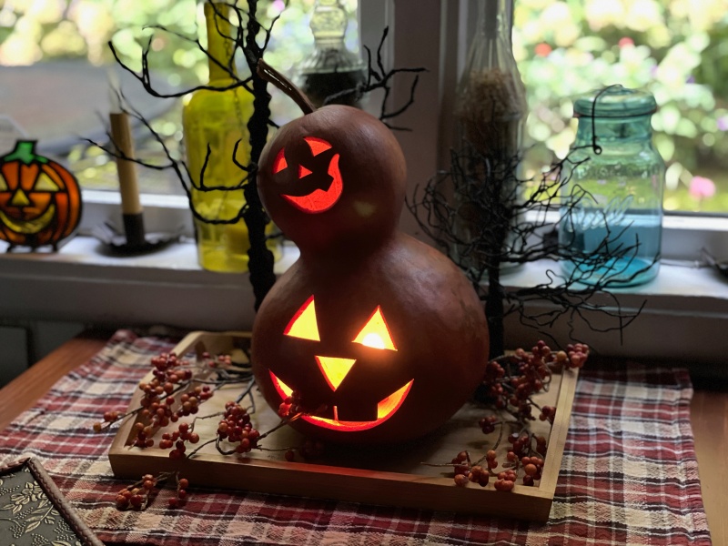 Gourd Jack o’ Lantern